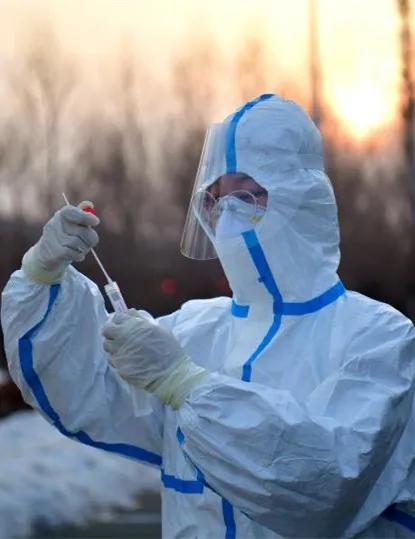 美丽迎春花开了,迎春花盛开的绝美春日盛景