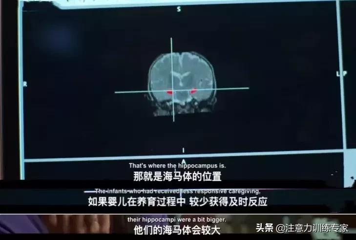 父母胆小懦弱怎么教育孩子,孩子越来越内向怎么教育