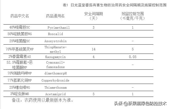 无公害番茄生产技术的前景 (无公害蔬菜番茄生产技术规程)