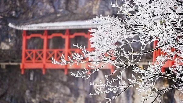 冬天去张家界好吗,张家界冬天去危险吗