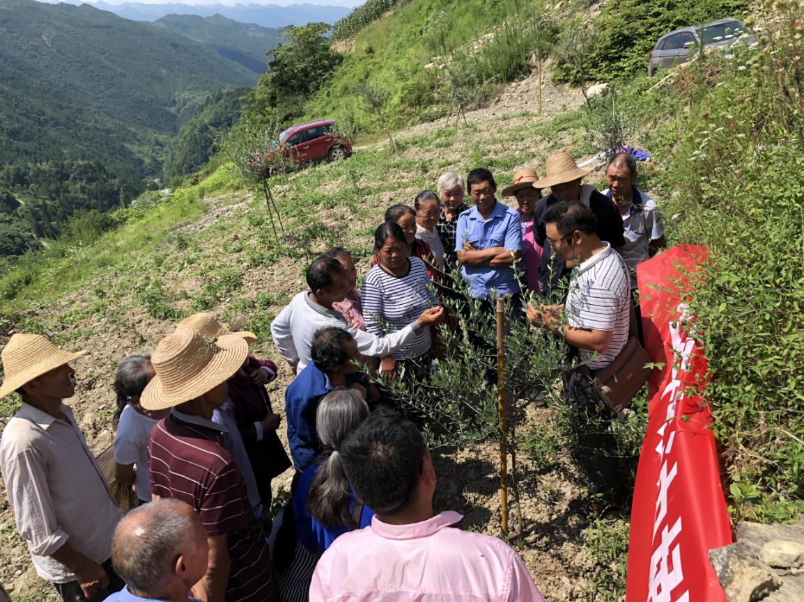 重庆奉节三国故事,奉节的故事