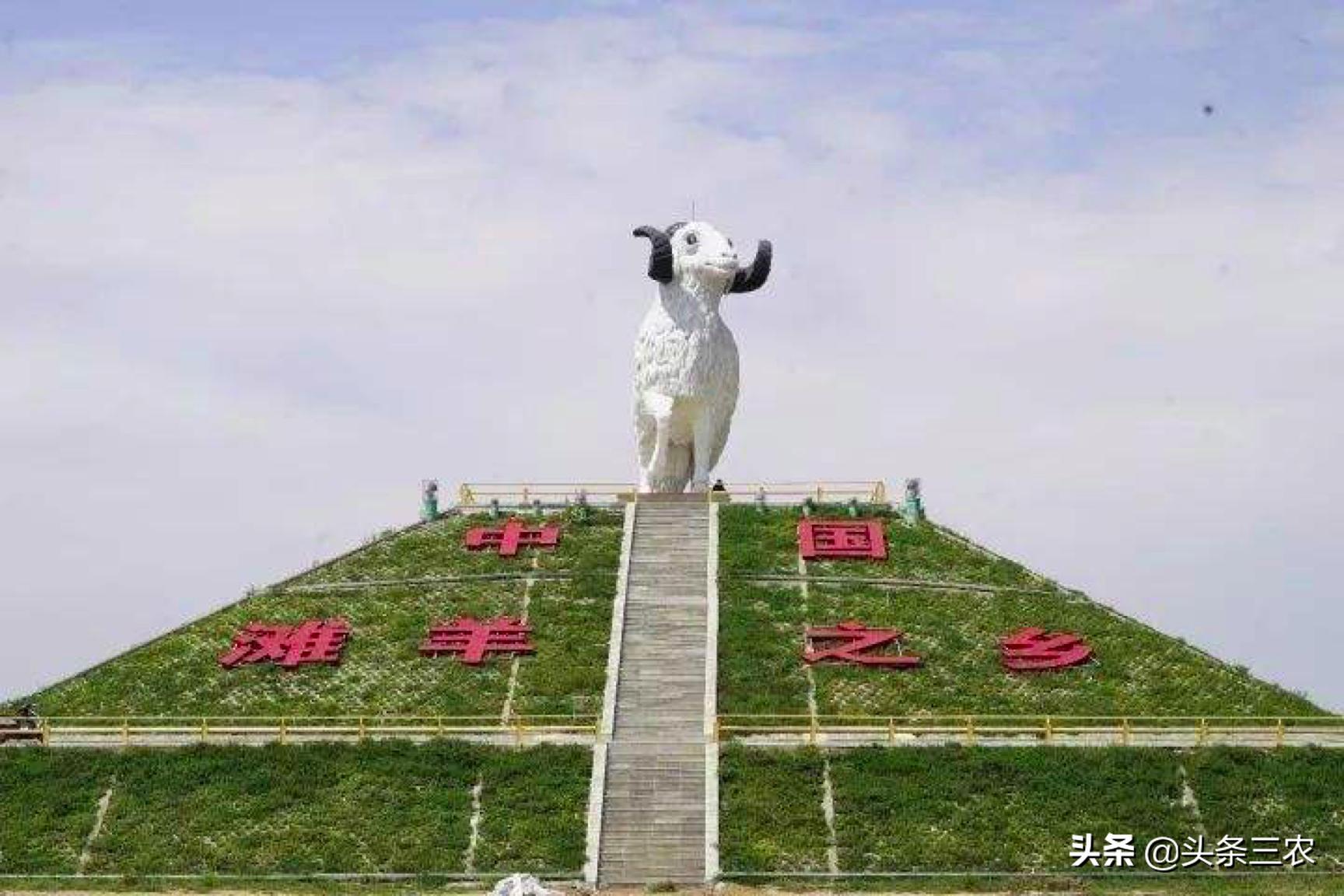 风物中华大好河山,滩羊之乡风物盐池