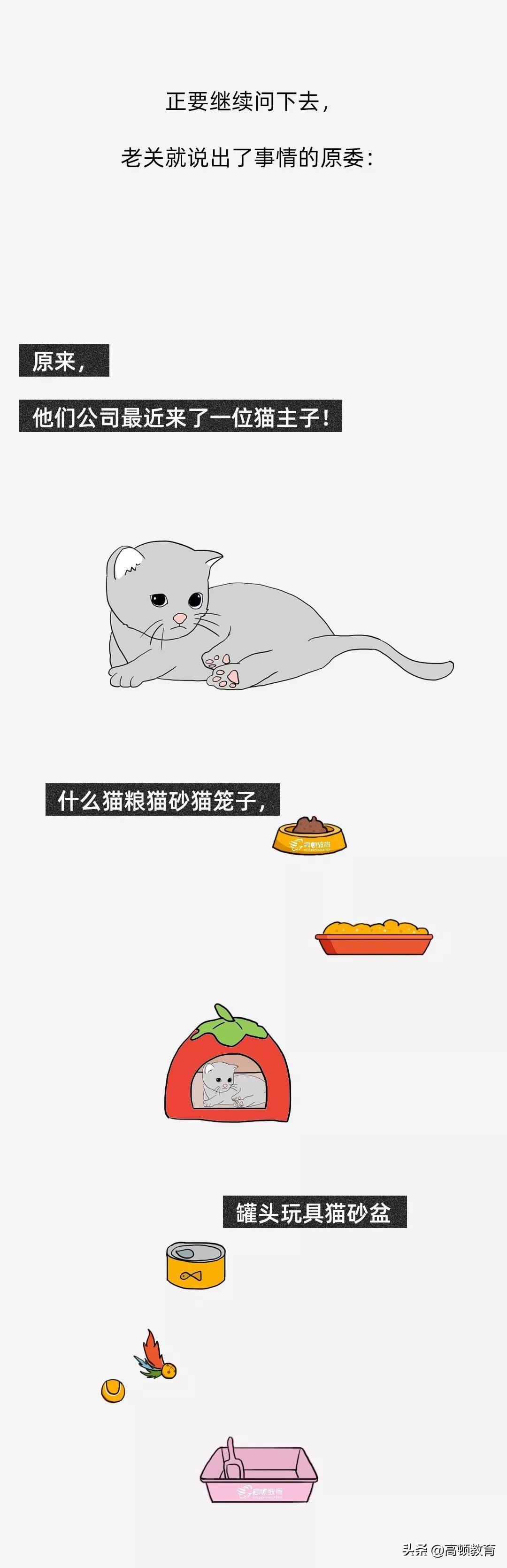 公司养了一只猫怎么记账,公司买的猫怎么入账