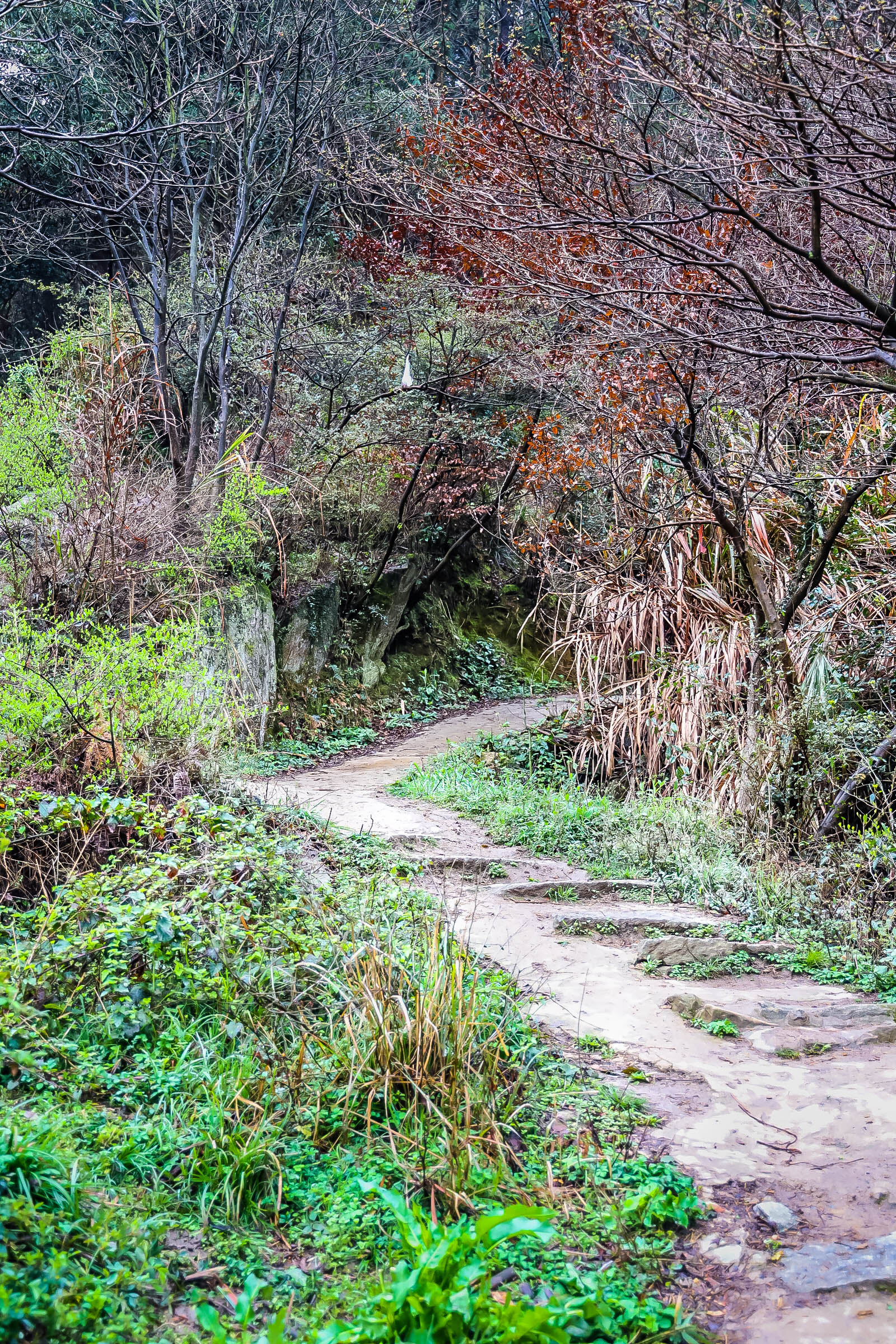 南昌湾里一日游攻略,南昌湾里徒步攻略
