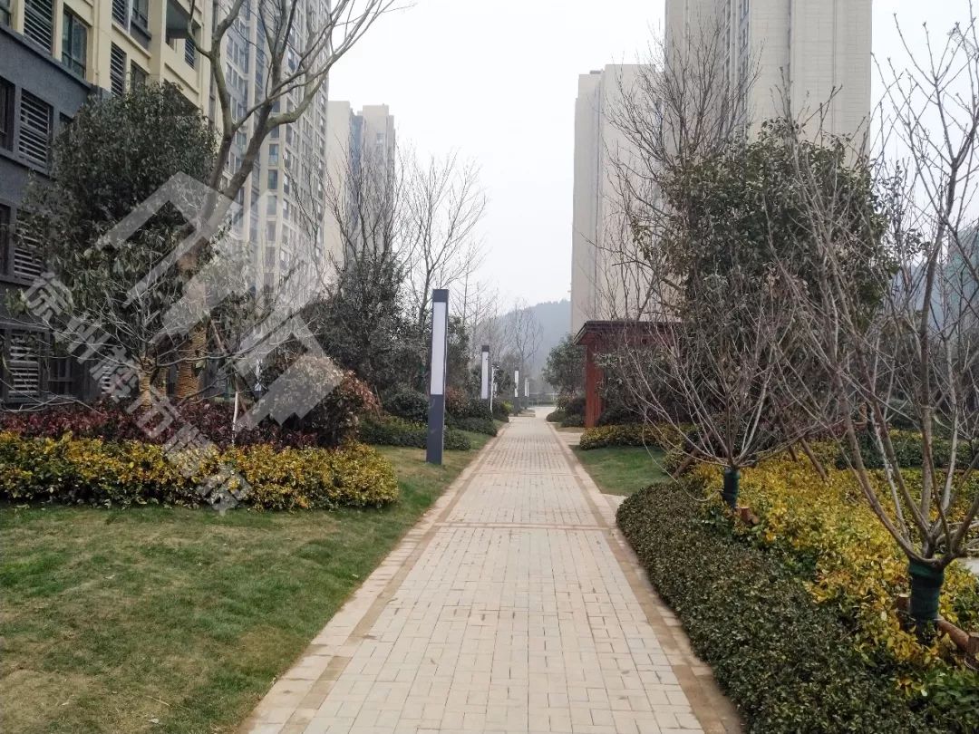 徐州东区房价,徐州东区大黄山房价