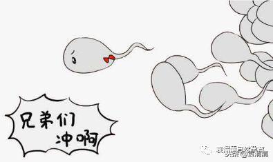 精子的十三种死法