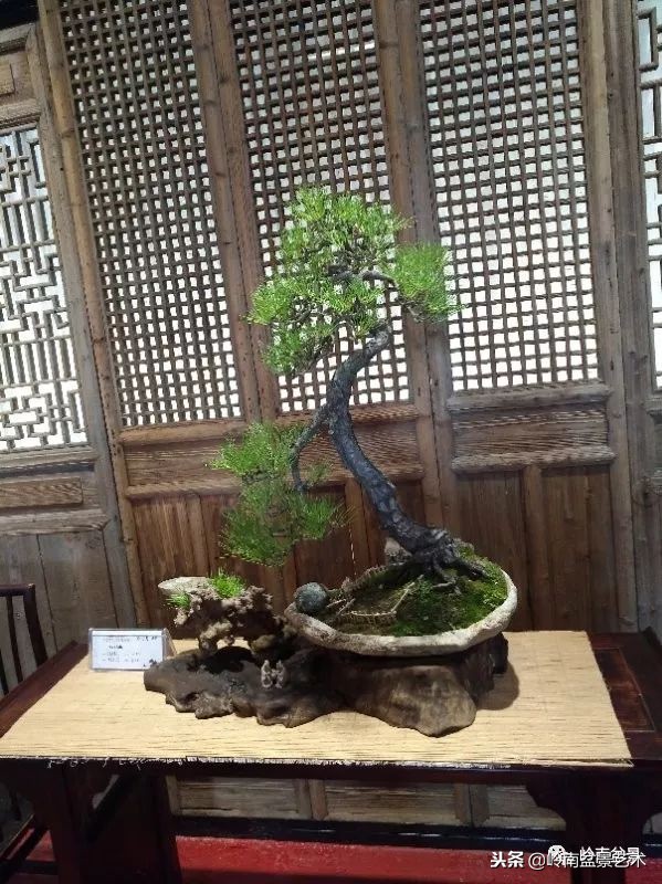 閲戝脊瀛愬湪鐩嗘櫙涓殑鍦颁綅,姒嗘爲鍦ㄧ泦鏅晫鍦颁綅