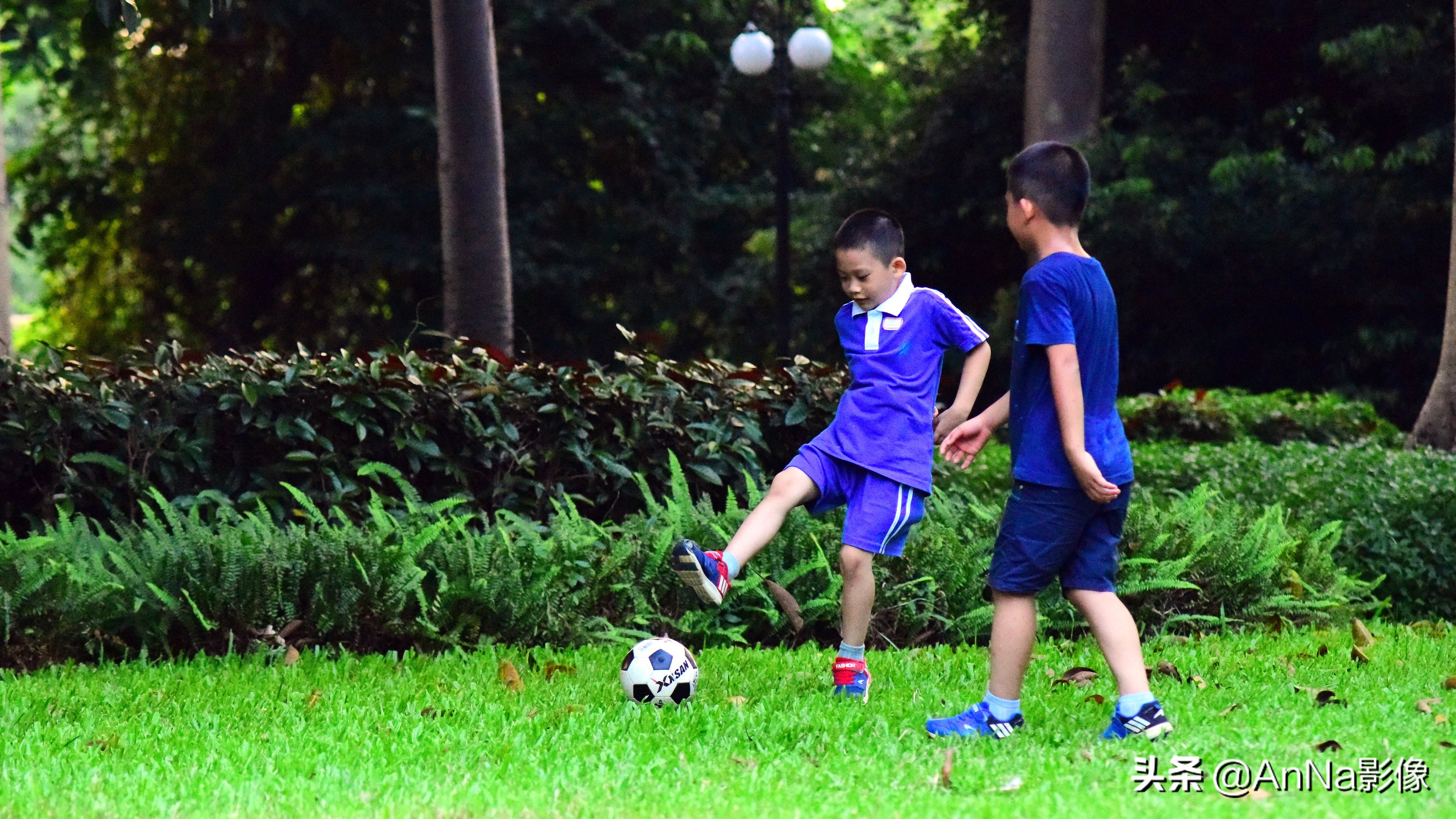 一大片绿荫草地成为孩子们的乐园,一片绿地就是孩子的乐园