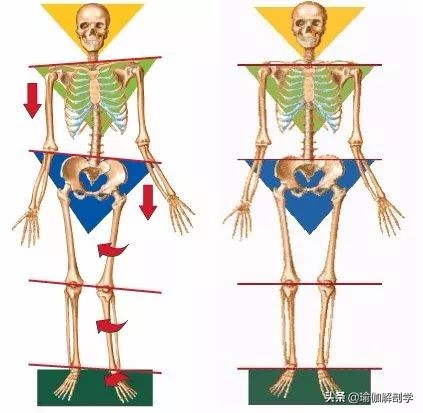 练瑜伽为什么要脚趾张开,练瑜伽为什么要练呼吸
