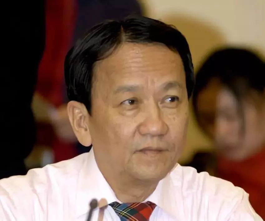 椰树牌椰汁从小喝到大广告,椰树广告我从小喝到大什么意思