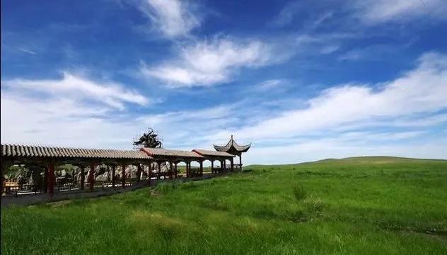 大青沟漫话/张志军