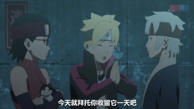 巳月养猫日常,巳月养的猫