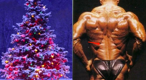 人鱼线健身动作,健身人鱼线19种