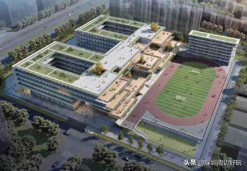 住在深圳各区的人,住在深圳市的人