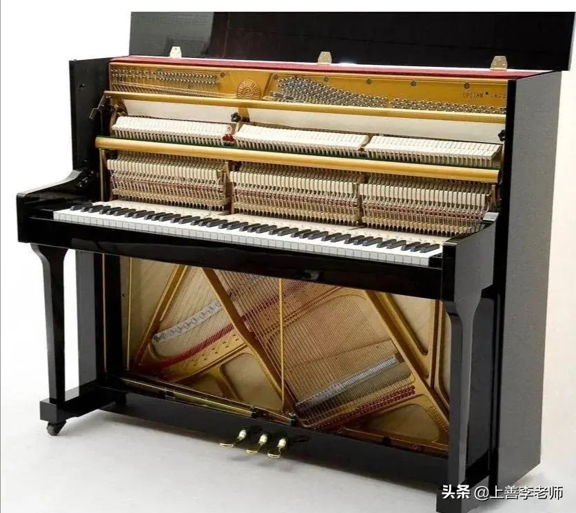 科技特长生好还是音体美好,音体美特长生去选科有什么要求吗