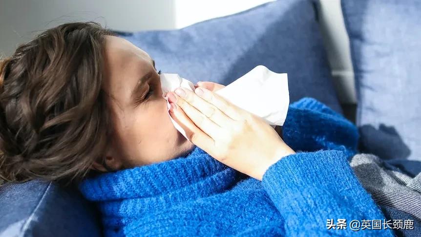 鲍里斯对英国的态度,英国鲍里斯现在怎样了