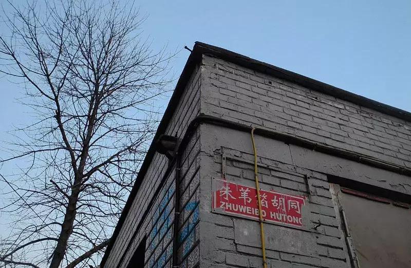 己亥年说猪|老北京和猪有关的胡同