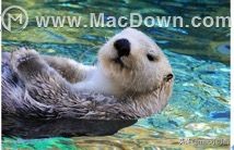 mac版word繁简字体怎么设置,mac版word怎么换行