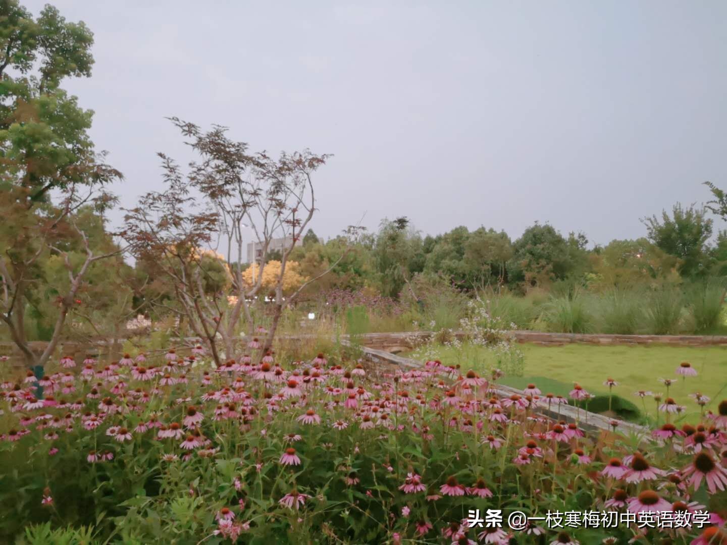 英语七年级下册第一单元句子,七年级下册英语unit12b课文跟读