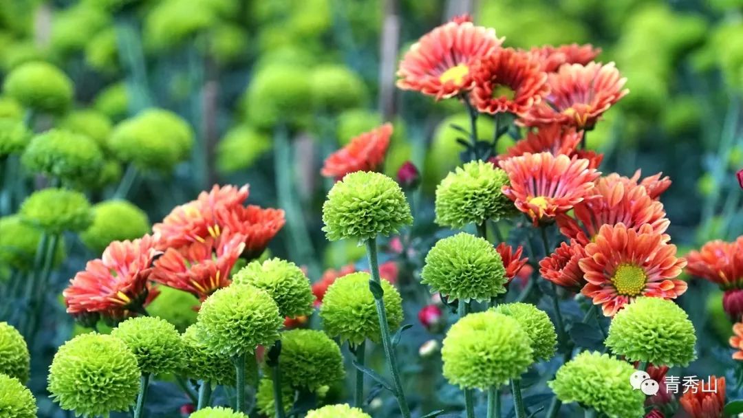 自拍达人全景,南宁自拍拍照博主