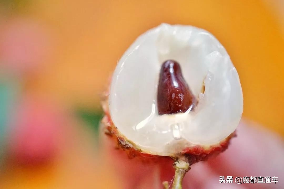 2019，在最好的时间，挑最好的地点，吃最好的食物！