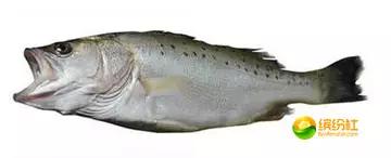 舟山4月份海鲜攻略,舟山海鲜代加工攻略