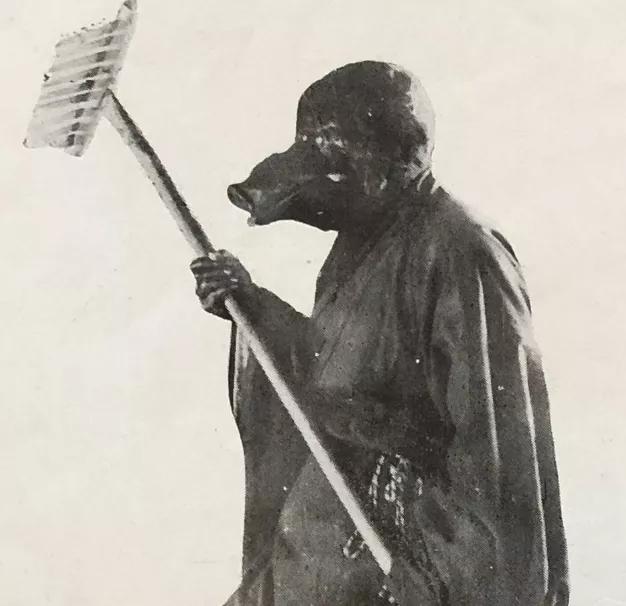 本土猪灭绝背后的故事,中国土猪要灭绝吗