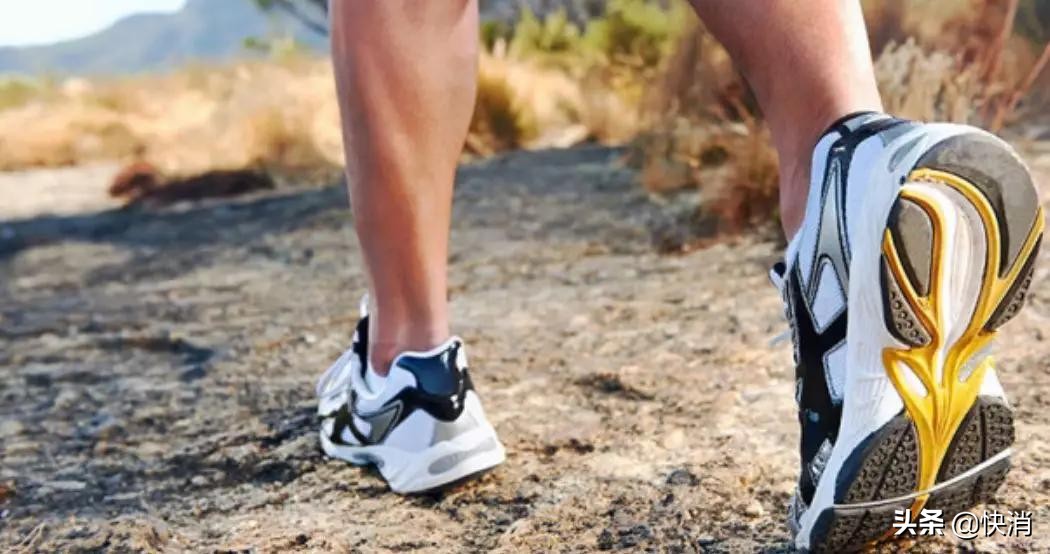 常温奶不行了？伊利半年营收450亿，金典、安慕希重点产品增长30%