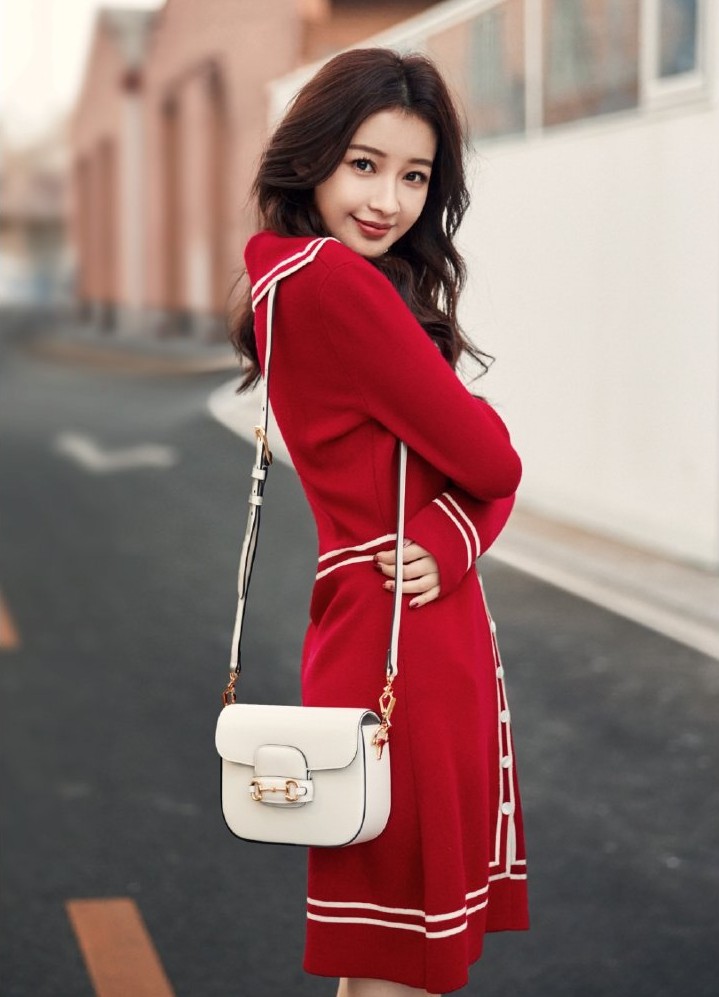 孙怡新款gucci,孙怡手袋