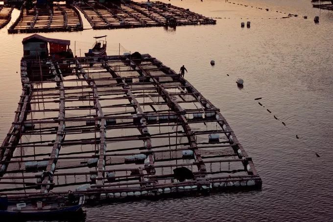 中国最美的海岸线霞浦,霞浦旅游之美