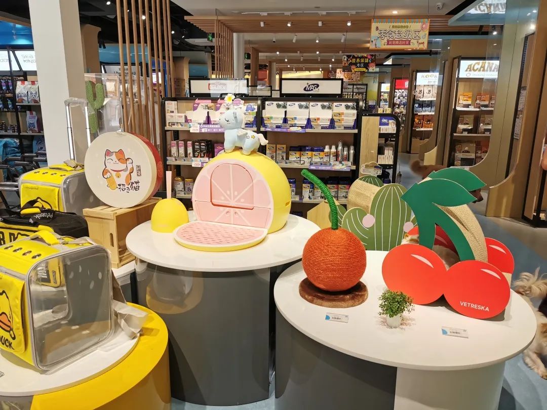 欢迎同行入内,这是一家为宠物店而开的宠物