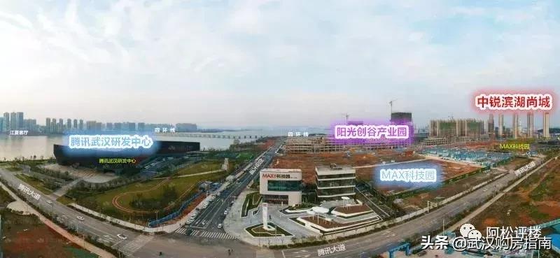 大光谷蔡甸,南京河西cbd和武汉光谷cbd