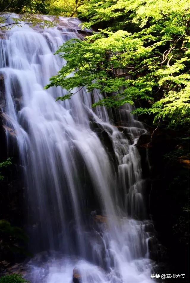 不输黄山迎客松的迎客松,不输黄山的景点