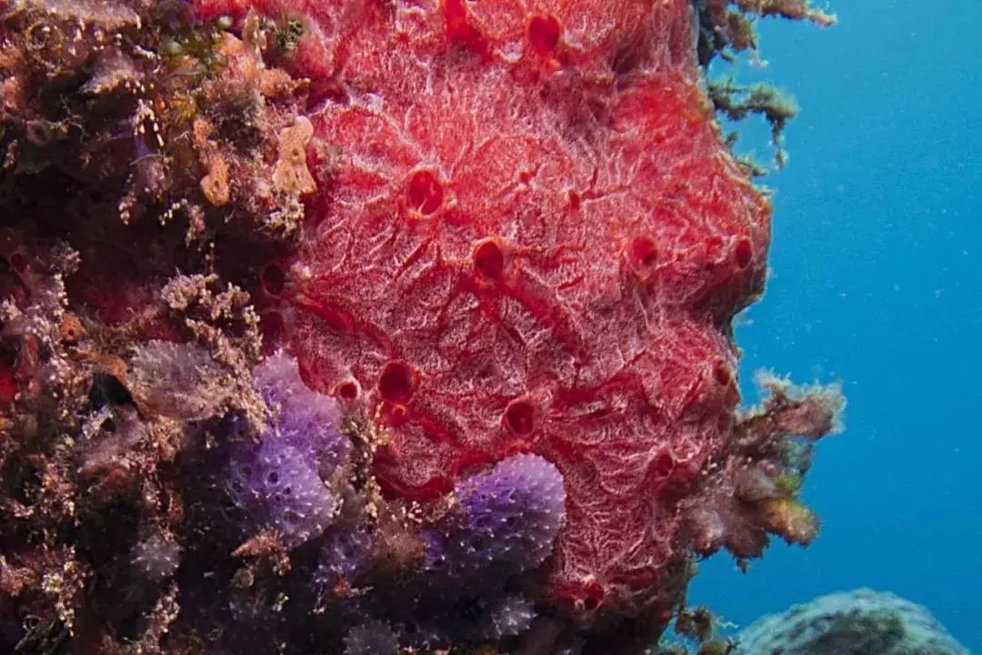 研学旅行值得一去的博物馆,博物馆研学旅行的意义及感悟