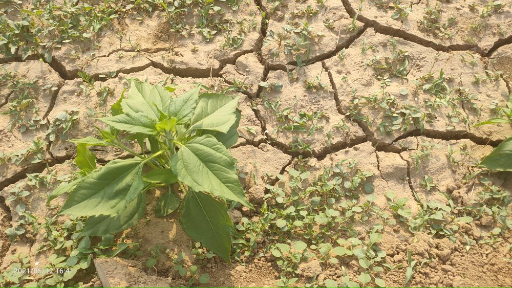 鍐嶈浜嗚闅嗗钩,鍐嶈浜嗚闅嗗钩鐖风埛