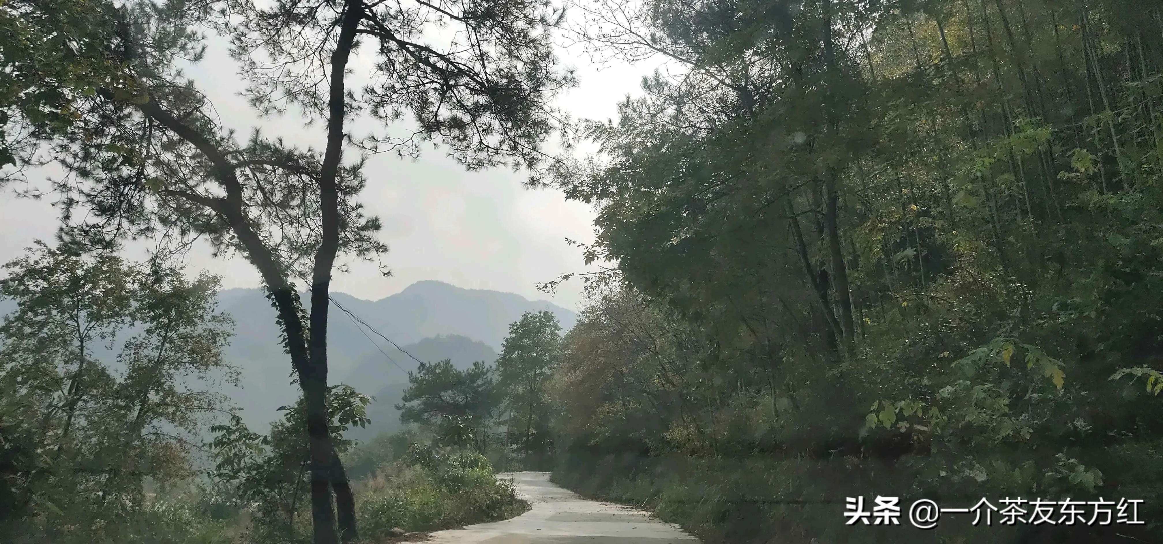 六安大别山主峰白马尖一日游游记,六安霍山攻略