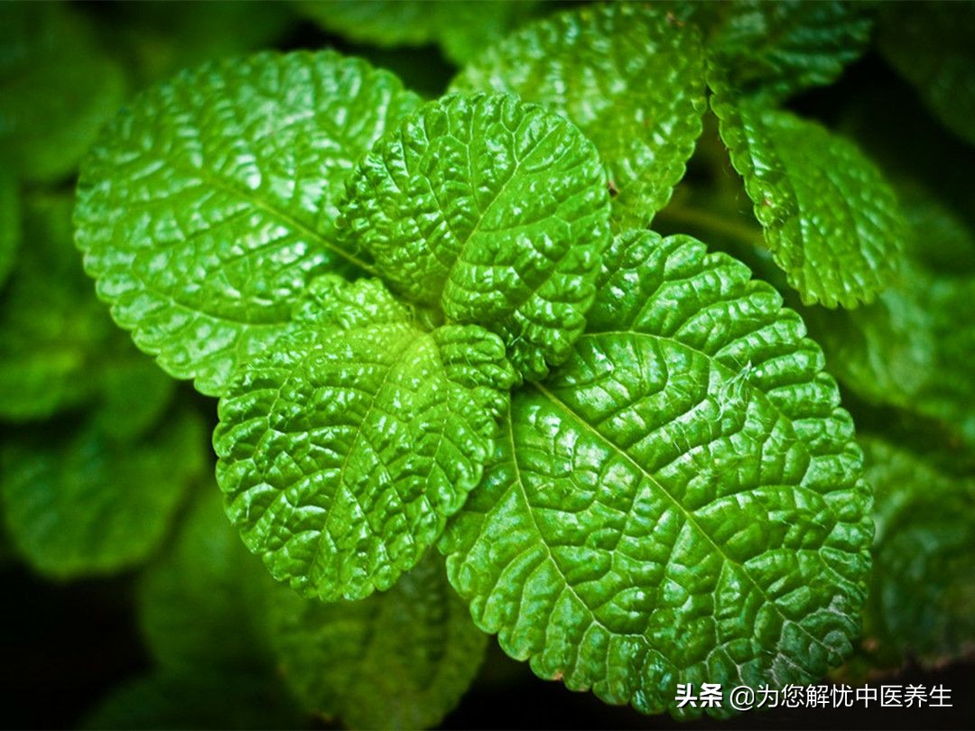 附子理中丸治疗病毒性腹泻,吃了附子理中丸还是腹泻怎么回事