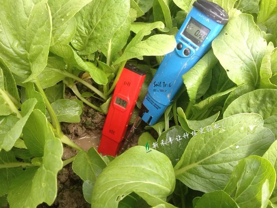 土壤ph值表示酸度改良,土壤酸化怎么调酸度