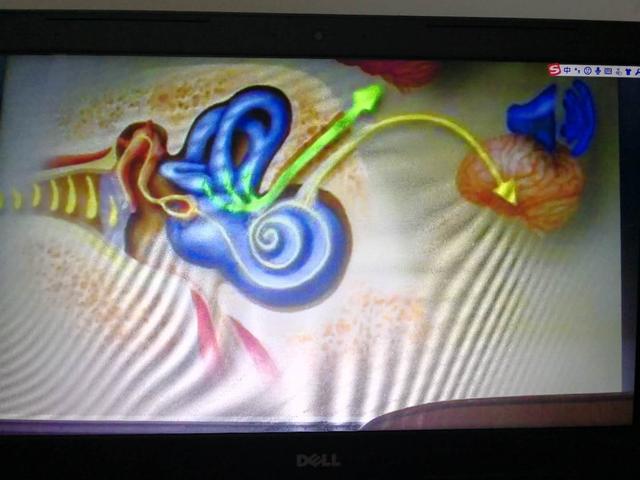 解决头晕恶心的小妙招,头晕的疑难杂症怎么治疗