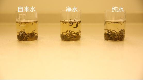 沁园krl6816净水器怎么样,安全无毒的净水器