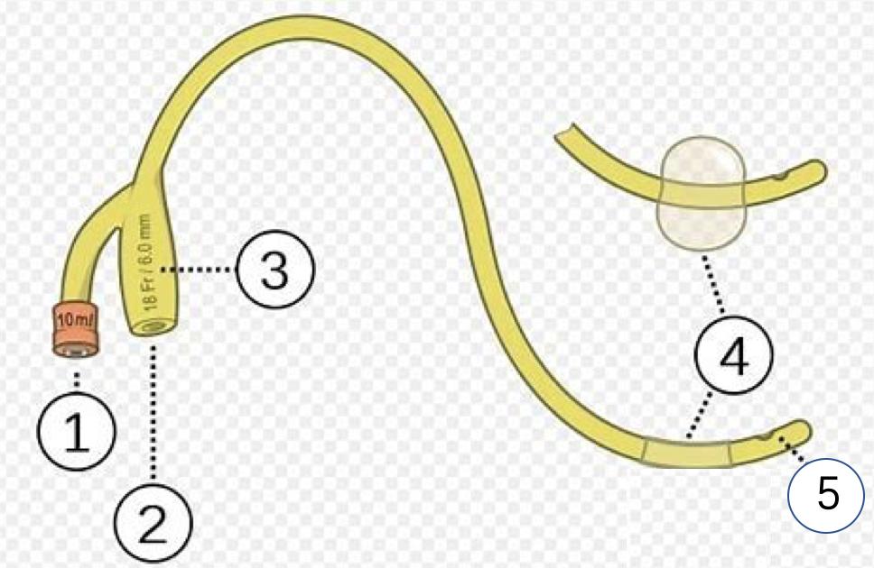 长期留置尿管一般需几天更换一次,留置尿管的注意事项有哪些