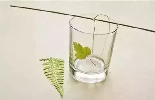 情人节收到的花别扔,情人节花别丢