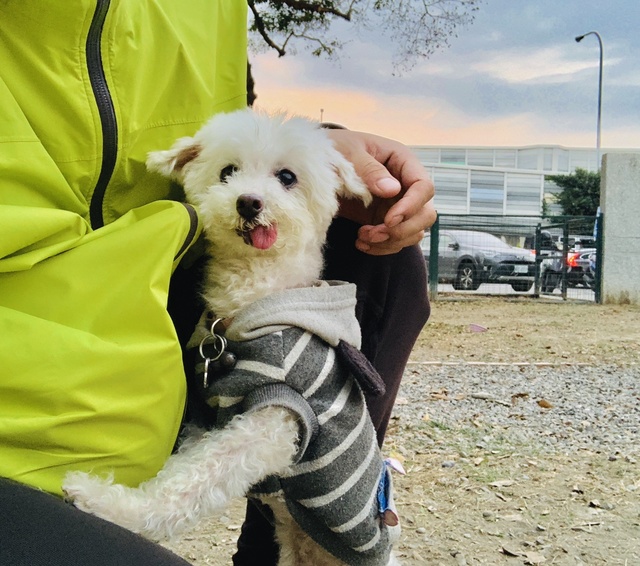 骑行台北到高雄多少公里,台北骑行到高雄