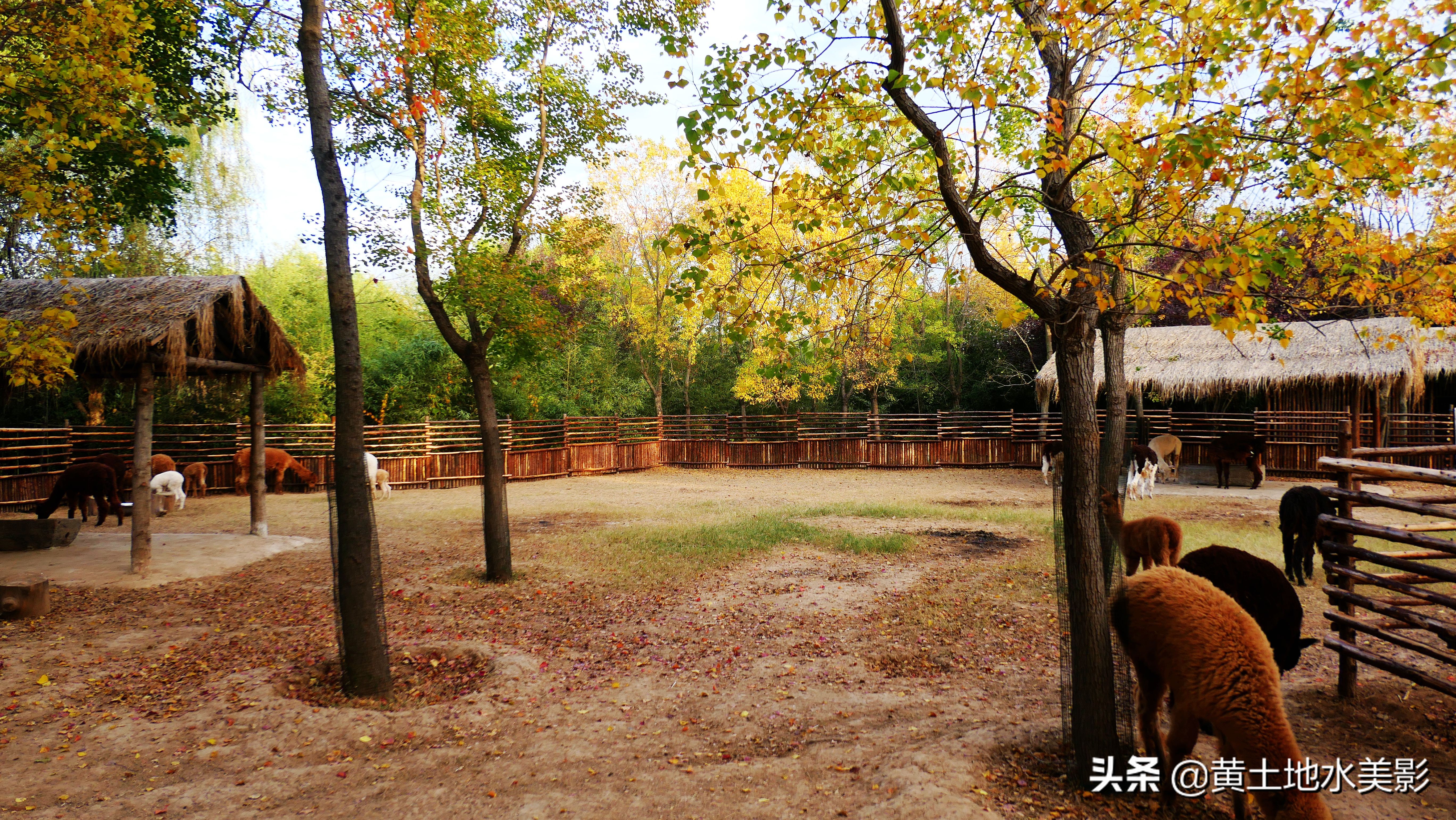 免费游玩东湖公园攻略,免费湿地公园游乐景点