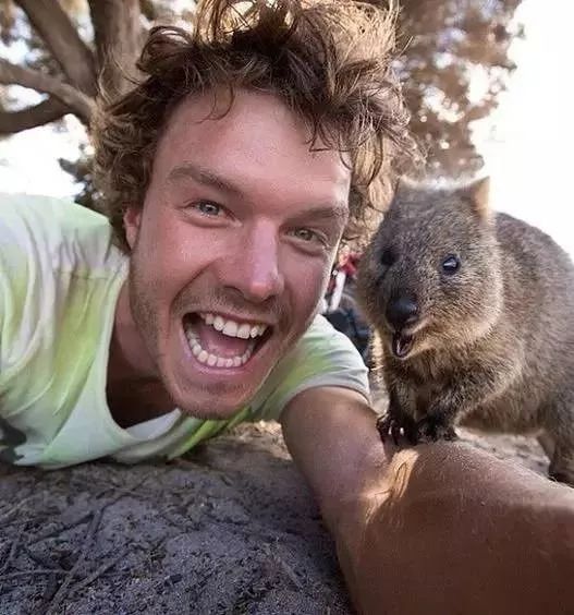 这100种动物你都认识吗,10种从未见过的动物