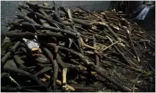 攸县香干与其他香干有什么不同,攸县香干和新化香干哪个好吃