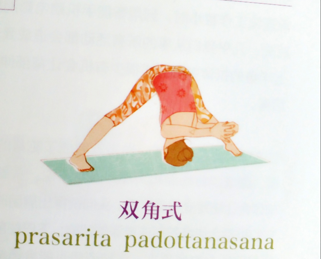 南宁缓解肩颈问题瑜伽体式,肩颈不适适合做什么运动