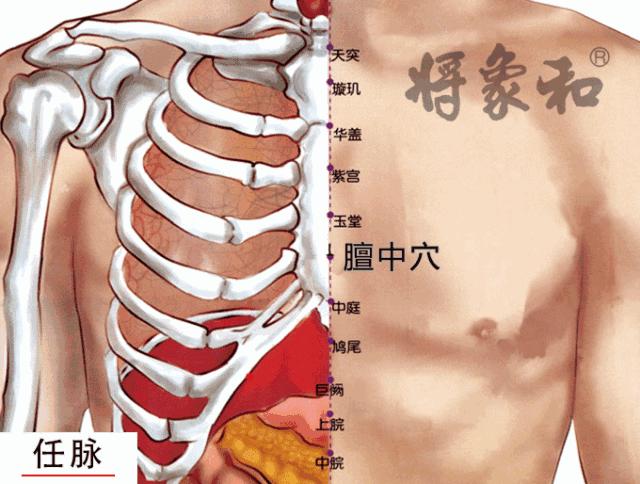 身上堵得严重该怎么疏通,病多是堵出来的