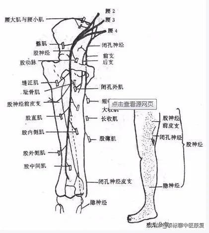 膝关节增生疼痛偏方,四神煎治膝关节疼痛