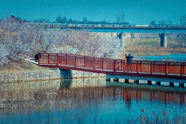 阎良石川河秋日美景,阎良最美石川河